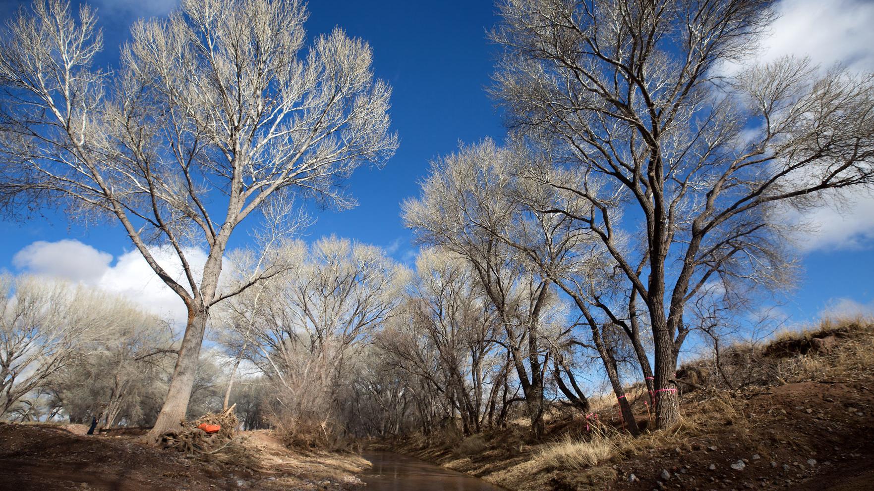 Feds reveal details for border wall that will span San Pedro River